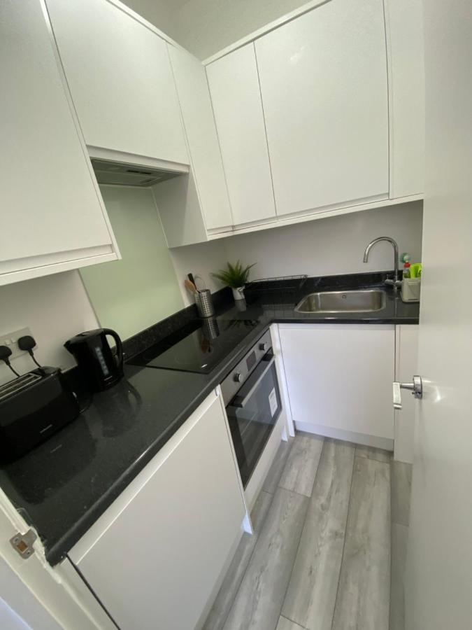 לונדון Spacious 2 Bedroom Flat In Paddington מראה חיצוני תמונה